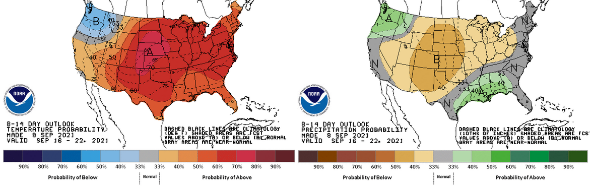 The 8-14 day outlook 